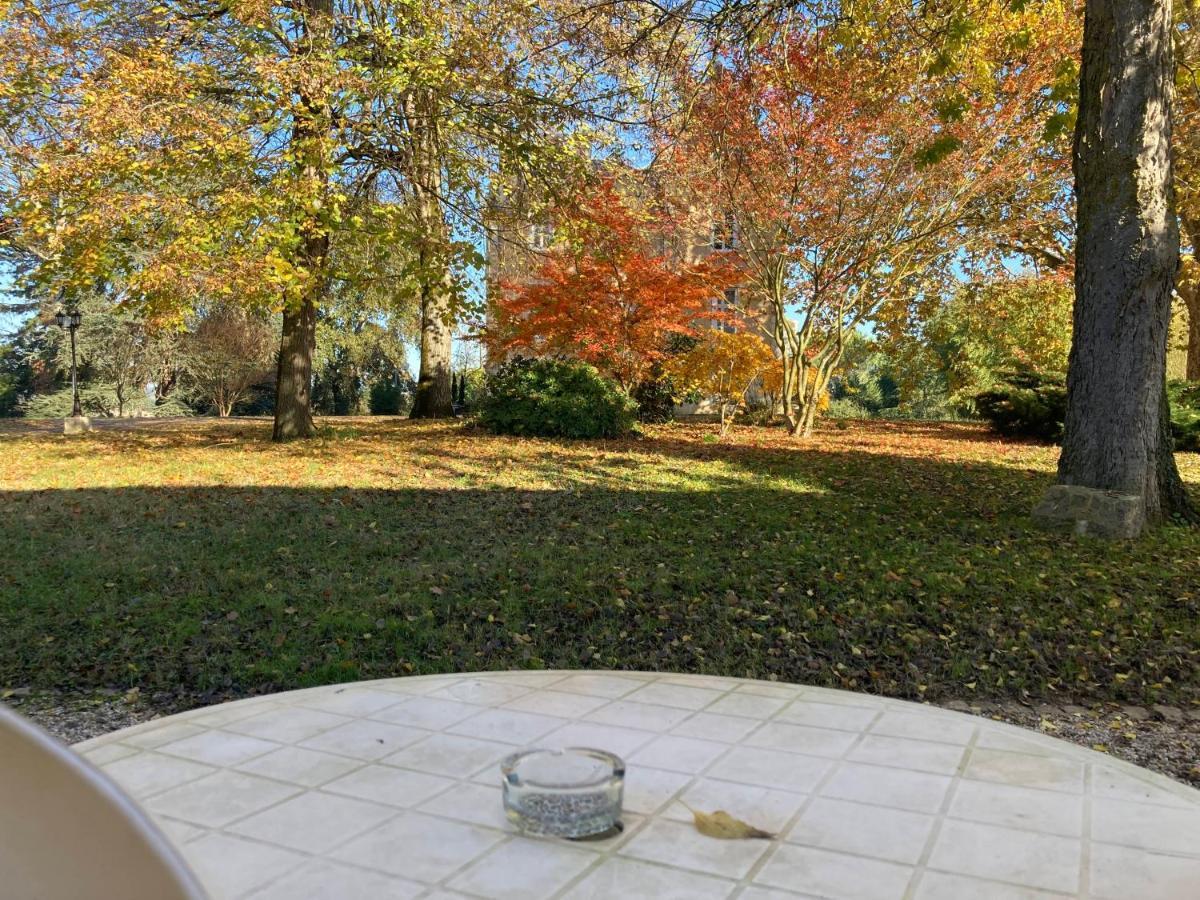 Orangerie Du Chateau Marith - Domaine Avec Piscine Clairac 部屋 写真