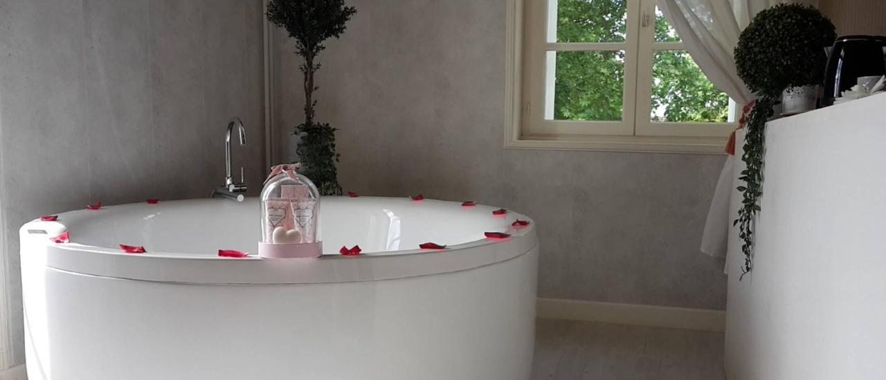 Orangerie Du Chateau Marith - Domaine Avec Piscine Clairac エクステリア 写真