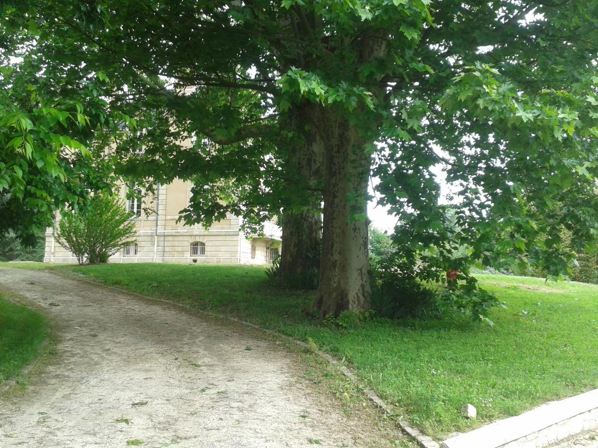 Orangerie Du Chateau Marith - Domaine Avec Piscine Clairac エクステリア 写真